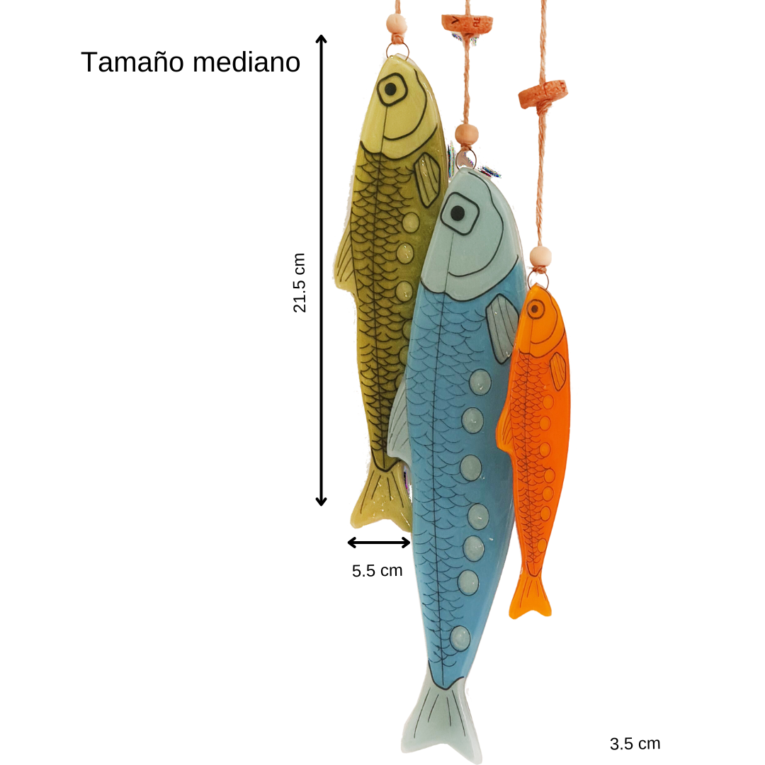 Medidas de sardina de cristal ecológica.